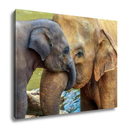 Canvas Elephant And Baby Elephant