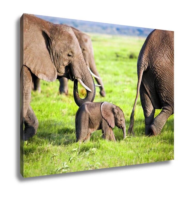 Canvas Elephants Family On African Savanna Safari