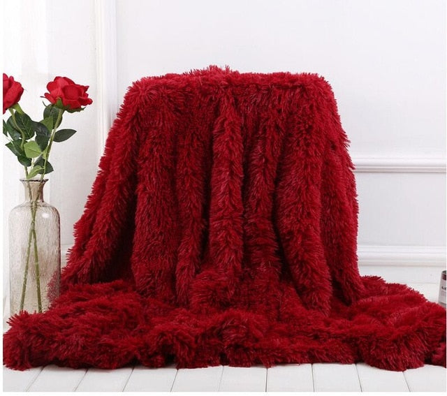 Shaggy Super Soft Coral Fleece Blanket